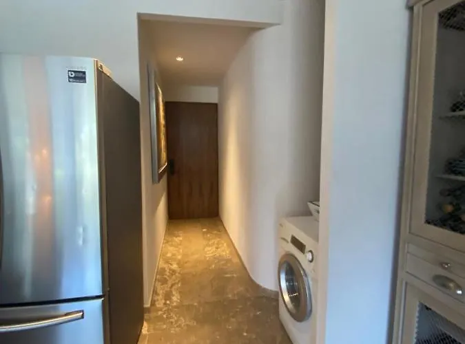 Departamento Ejecutivos En El Sur De La Cdmx Mexico City