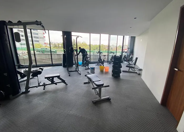 Departamento Ejecutivos En El Sur De La Cdmx * Mexico City